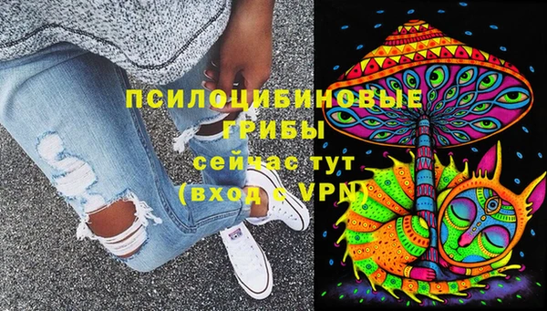 эйфоретик Коряжма