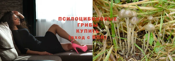 мдпв Нея