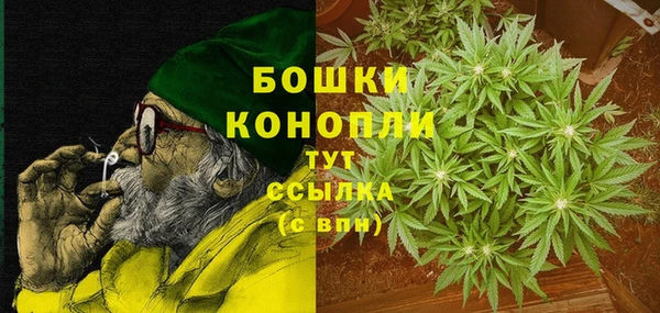 PSILOCYBIN Киренск