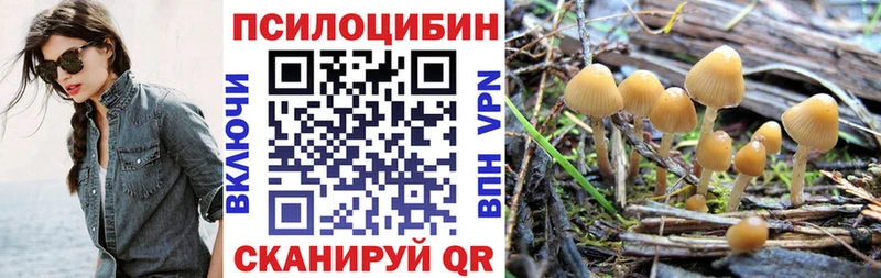 наркота  Кореновск  Галлюциногенные грибы Psilocybe 